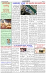 HPT-30072025--4-page-002